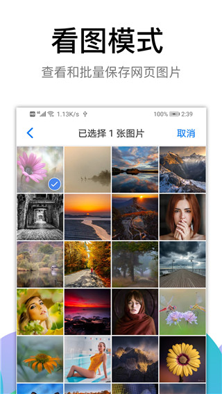 黑狮浏览器最新版
