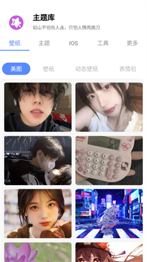 主题库专业版