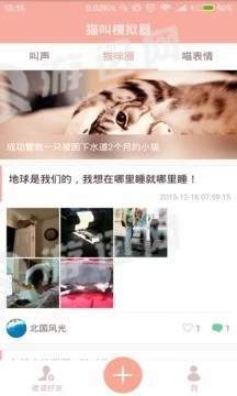 猫叫模拟器手机版