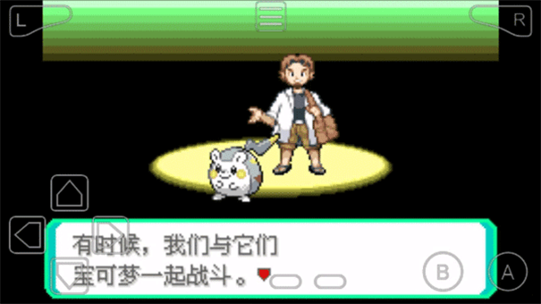 口袋妖怪黑白汉化版