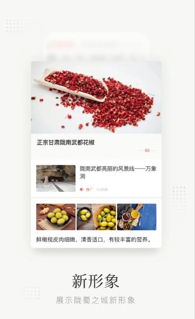陇蜀之城app安卓版