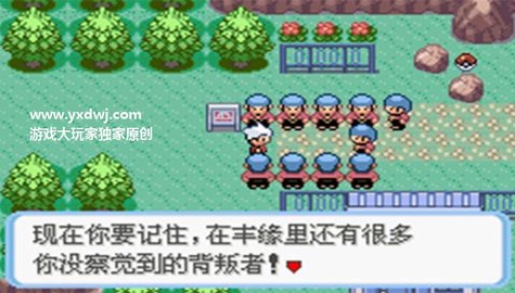 口袋妖怪蛇纹木手机版