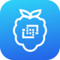 莓果联屏app官方版