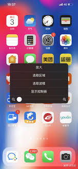 苹果手机屏幕变黑白恢复彩色设置方法