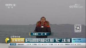 央视深度獐子岛背后的神秘真相