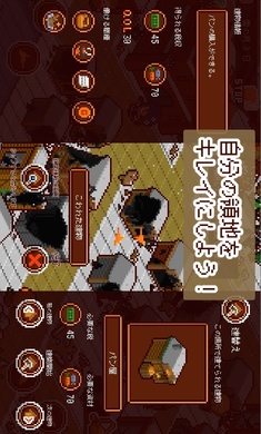 多塔尼亚