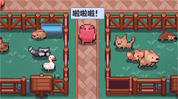 开拓猪之岛