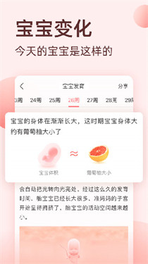 柚宝宝