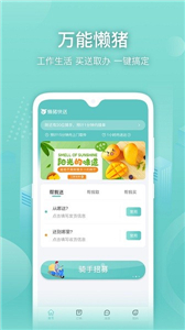 懒猪快送