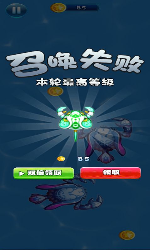 皮皮虾来了