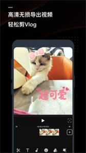 迅捷视频转换器2023