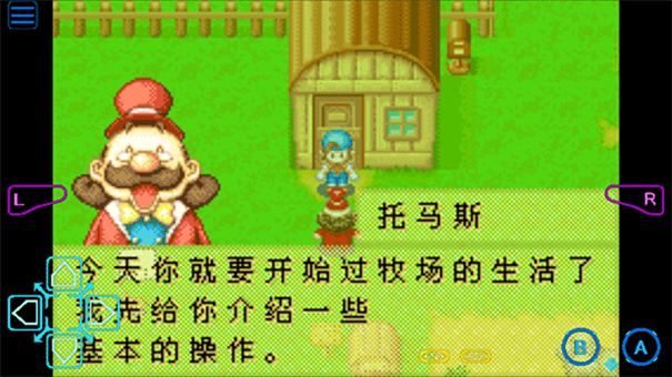 牧场物语矿石镇的伙伴们手机版