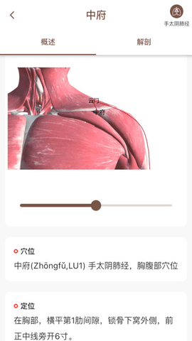中济经络穴位2023版