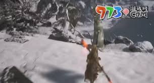 黑神话悟空地涌金莲种子高效获取攻略
