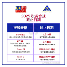 2025年个税申报每月截止时间全览