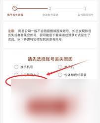 梦幻西游账号遗忘？一键解锁找回秘籍，速览高效查询方法！
