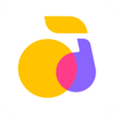 回森官网版下载v3.80.0.350592
