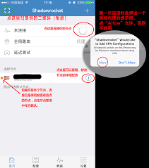 Shadow的神奇运用：掌握隐匿与追踪的艺术