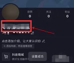 抖音昵称大改造：如何设置吸引眼球的新昵称