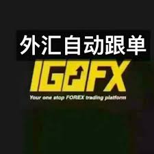 IGOFX外汇平台：全面解析与深度了解