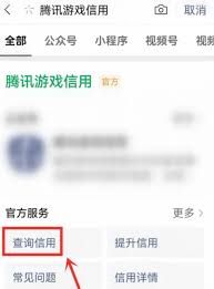 ！一键查询腾讯游戏信用分，快速提升你的游戏信用等级秘籍！