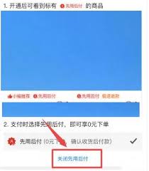 如何操作关闭拼多多的先用后付功能指南