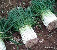 辣椒大葱价格飙升背后：推动涨价的关键因素！