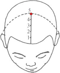 ！泥宫穴的神奇位置，你不可不知的养生秘密！