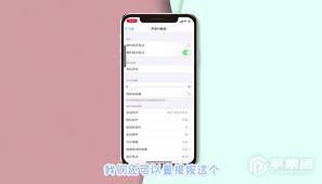 苹果手机静音截屏技巧：无声捕捉精彩瞬间秘籍