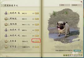 剑网3石敢当奇遇任务：独家流程攻略，解锁隐藏奇遇惊喜！