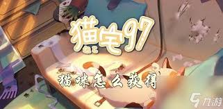 猫宅97快速升级全攻略：每日任务与副本经验助你飙升等级