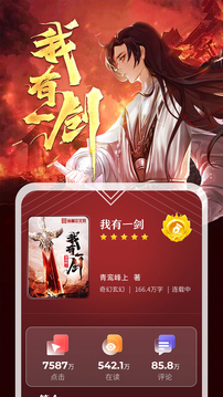 纵横小说极速版