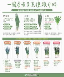 震惊！北斗大K青葱版竟然是国产的？快来一探究竟！