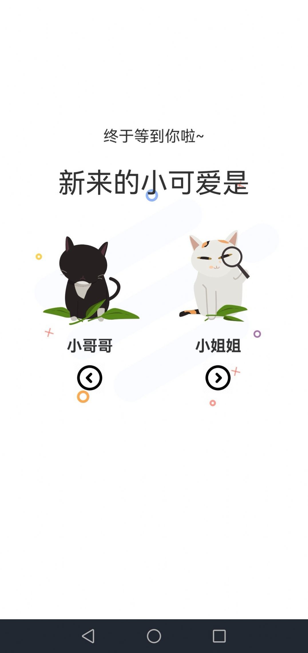喵上漫画2024