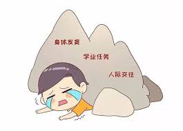 惊爆！青春之少年与青春之心灵，究竟藏着怎样的秘密？