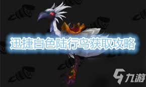 魔兽世界tBC怀旧服白色陆行鸟坐骑全解析及70级tbc坐骑大全