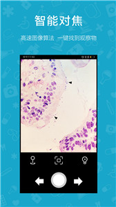 微米盒子app