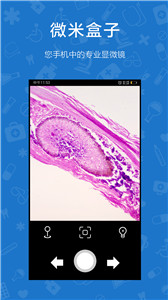 微米盒子app