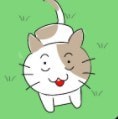 逃脱寻找小猫