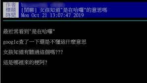 舞动的影子中文含义解析
