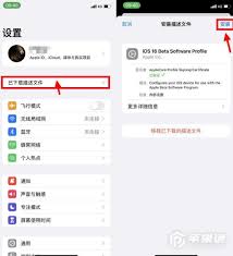 iOS下载文件安装方法大，速看核心要点