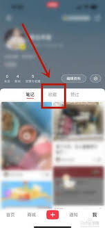 哇塞！超全秘籍大公开！小红书笔记分类合集，让你轻松get各类精彩内容！