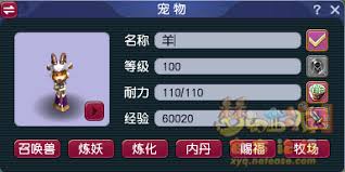 QQ西游宠物升级攻略及成长度深度解析 附超实用宠物培养技巧全解