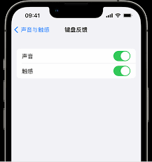 惊爆！iPhone 上超酷触觉键盘启用秘籍大公开，速来围观！