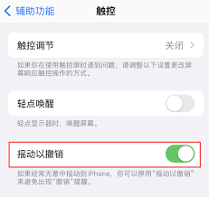 哪些应用支持iPhone“摇动以撤销”功能改进凸显核心要点