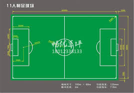 震惊！原来这才是实心球场地的真正标准，你知道吗？