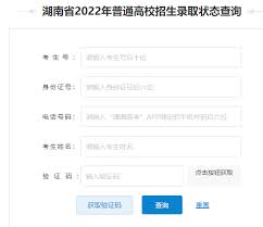 湘易办如何查询入学录取状态
