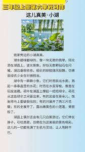 惊爆！你知道干部考察预告究竟暗藏啥玄机吗？