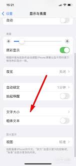 惊爆！苹果13竟能如此轻松修改字体尺寸，你知道吗？