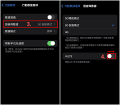 苹果12如何开启volte功能
